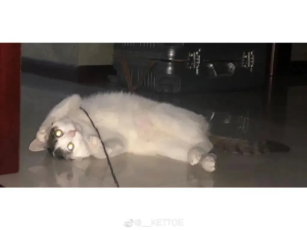 Kettoe – NO.01 微博配图[13] [69P]插图1